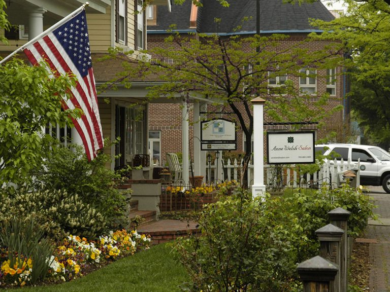 Gallery Anne Welsh Salon